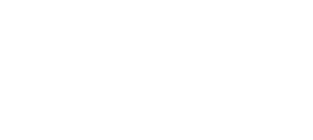 Seed Capital Investments